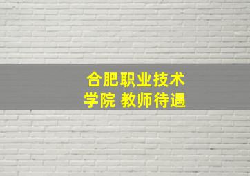 合肥职业技术学院 教师待遇